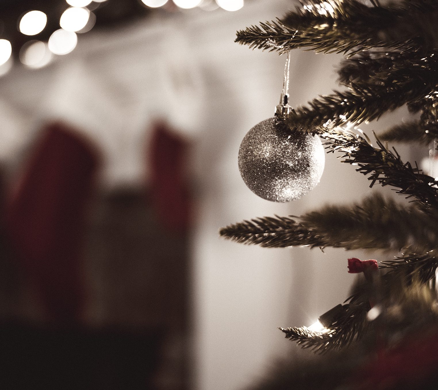 Christmas tree & ornament