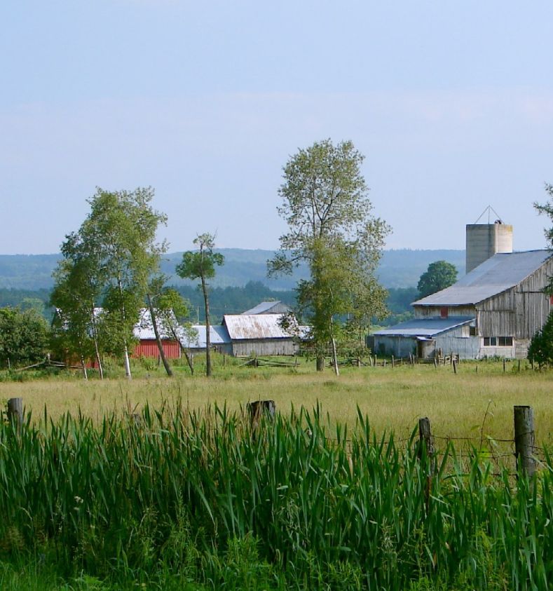Oro-Medonte
